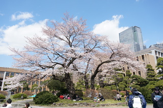 DSC00303.JPG