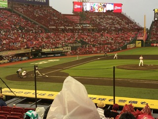 IMG_0448.JPG