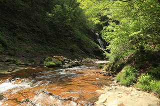 IMG_4202.JPG