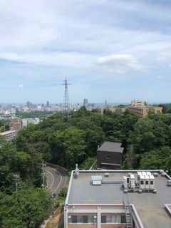 IMG_4720.jpg